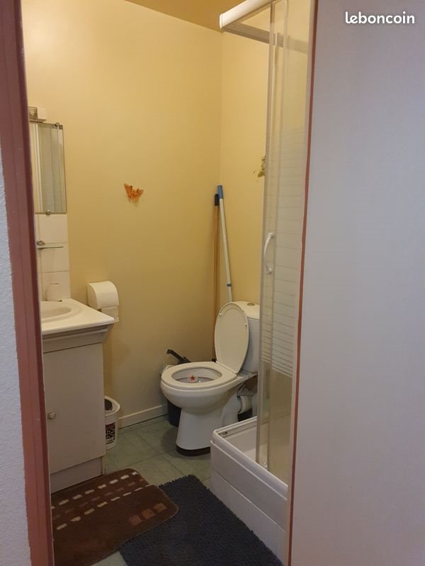 Appartement à louer, 20m², Bourges