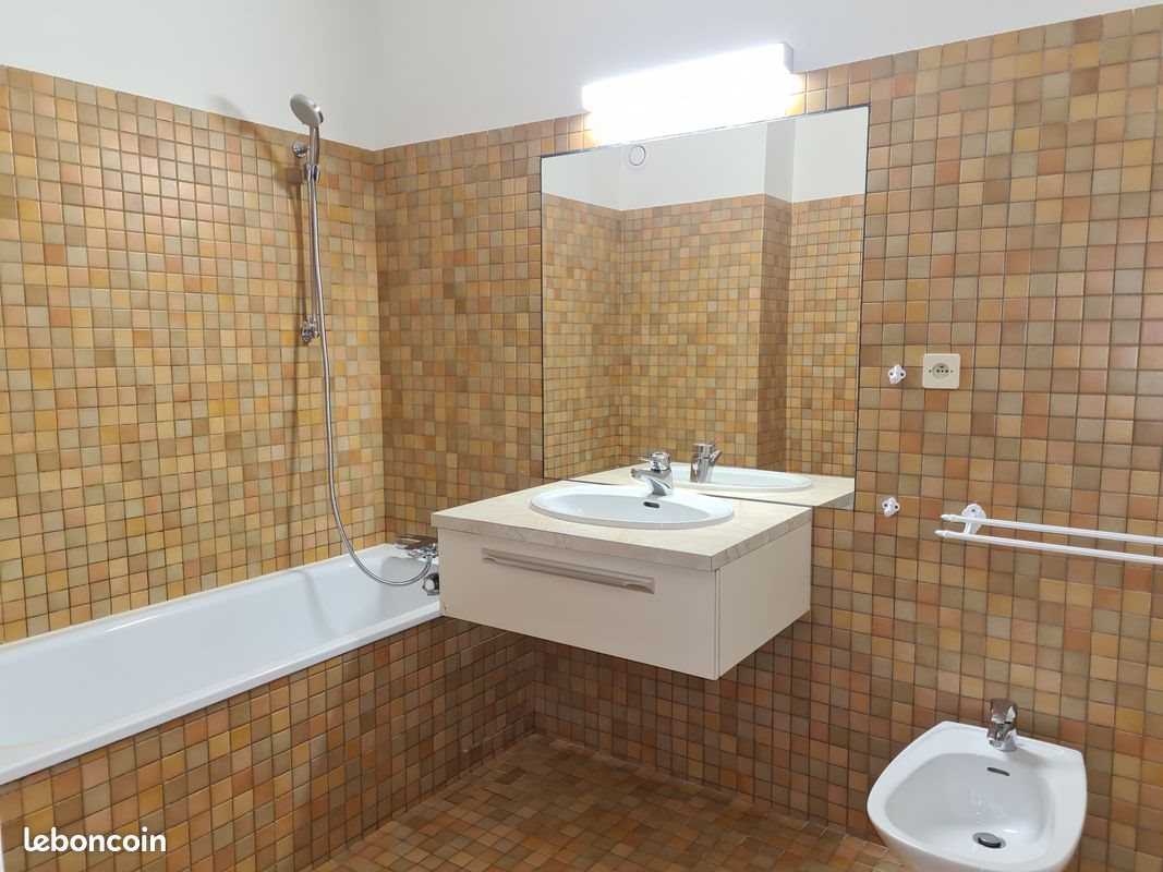 Appartement à louer, 44m², Albi