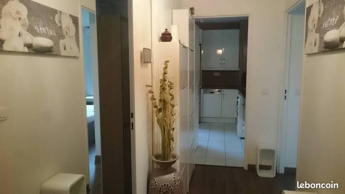Appartement à louer, 48m², Nogent-sur-Marne