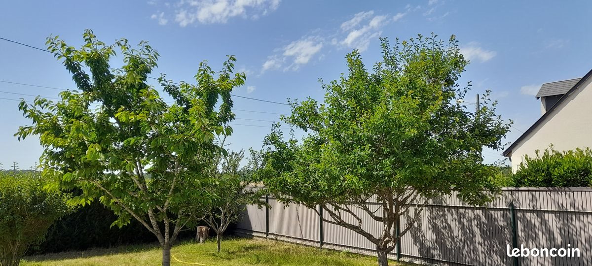 Maison à vendre, 145m², Ballan-Miré