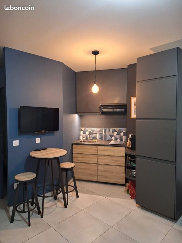 Appartement à louer, 33m², Voglans