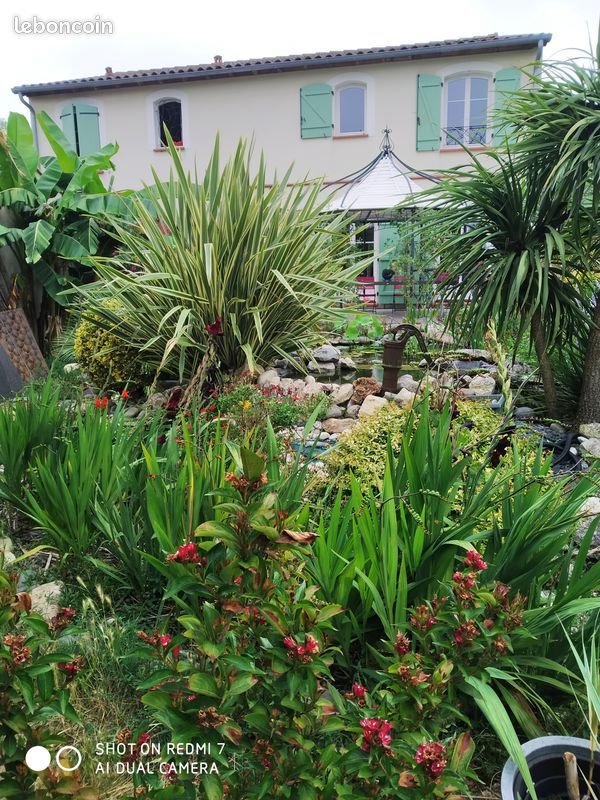 Maison à louer, 158m², Mauzac
