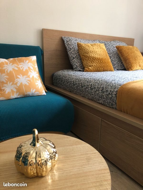 Appartement à louer, 38m², Cusset