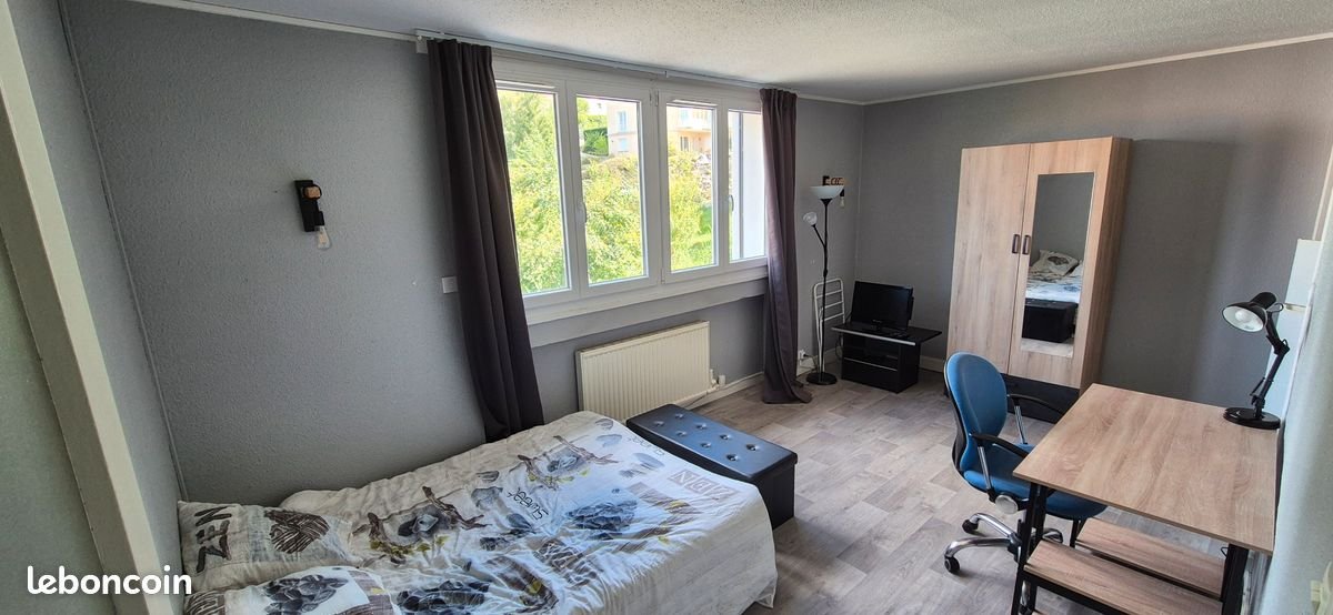 Appartement à louer, 29m², Saint-Étienne