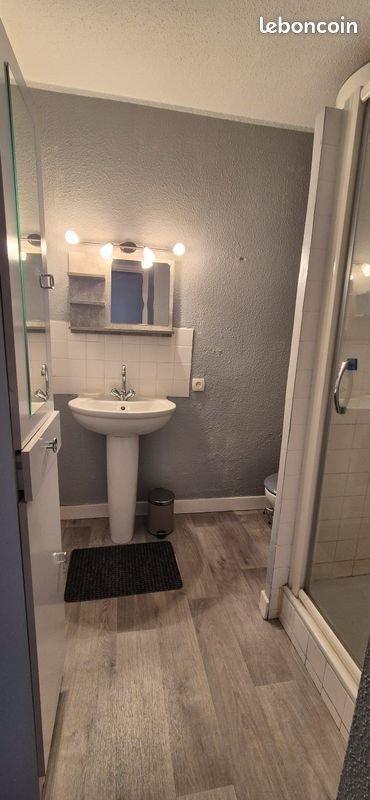 Appartement à louer, 29m², Saint-Étienne