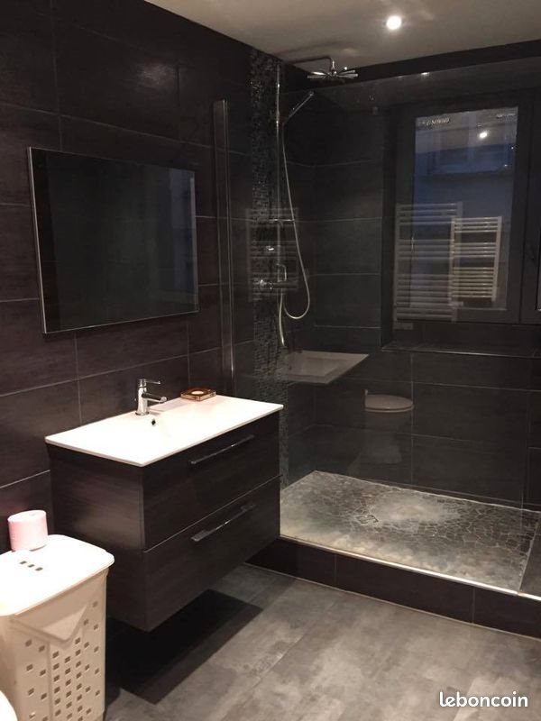 Appartement à louer, 50m², Saint-Etienne