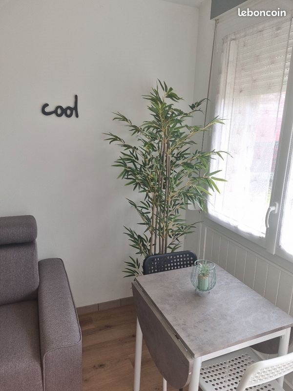 Appartement à louer, 19m², Trégueux
