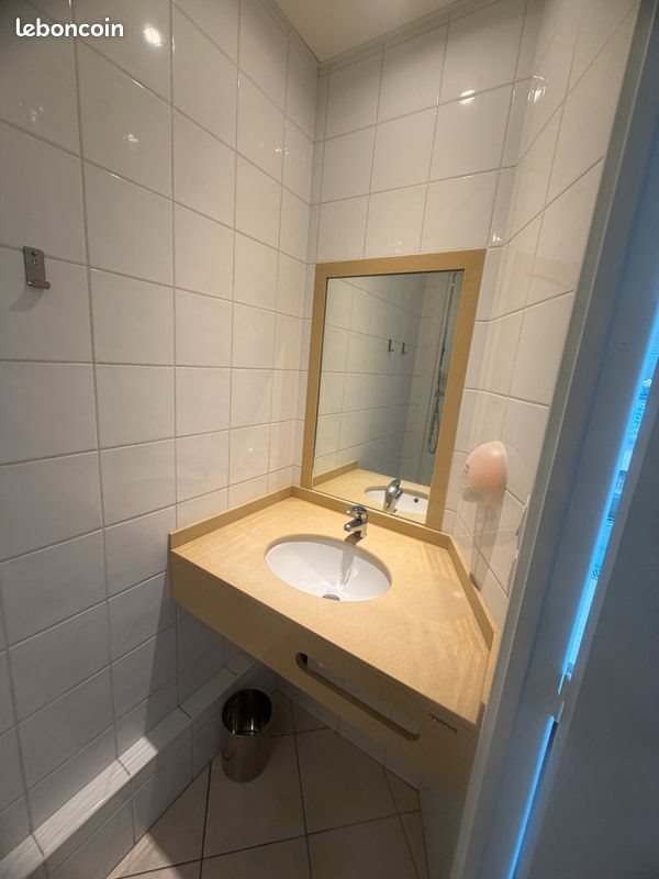 Appartement à louer, 25m², Saint-Etienne