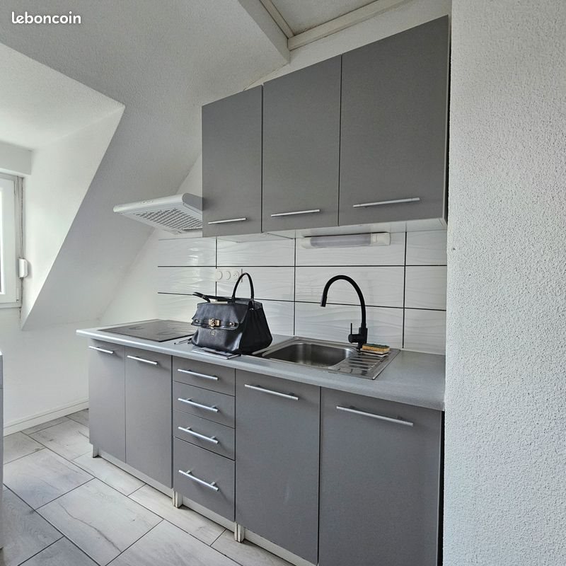 Appartement à louer, 60m², Mulhouse