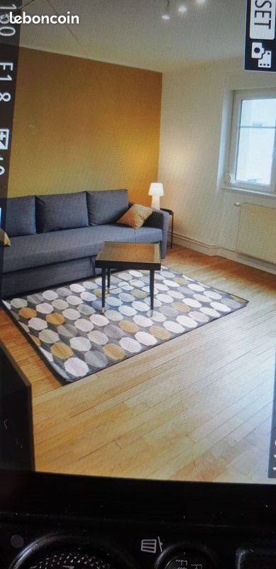 Appartement à louer, 50m², Nancy