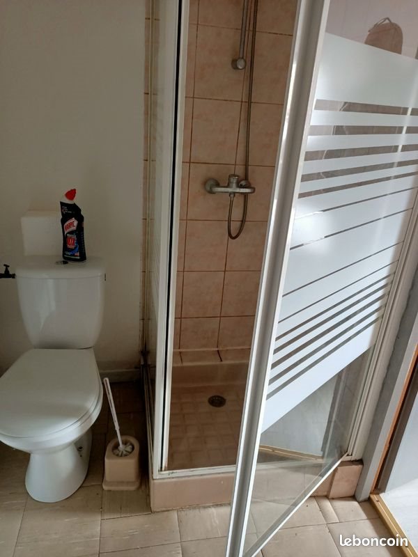 Appartement à louer, 47m², Laroche-Saint-Cydroine