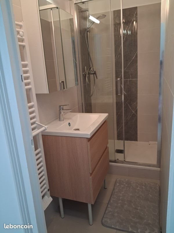 Appartement à louer, 37m², Lyon 7ème