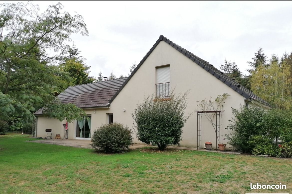 Maison à vendre, 300m², Lion-en-Sullias