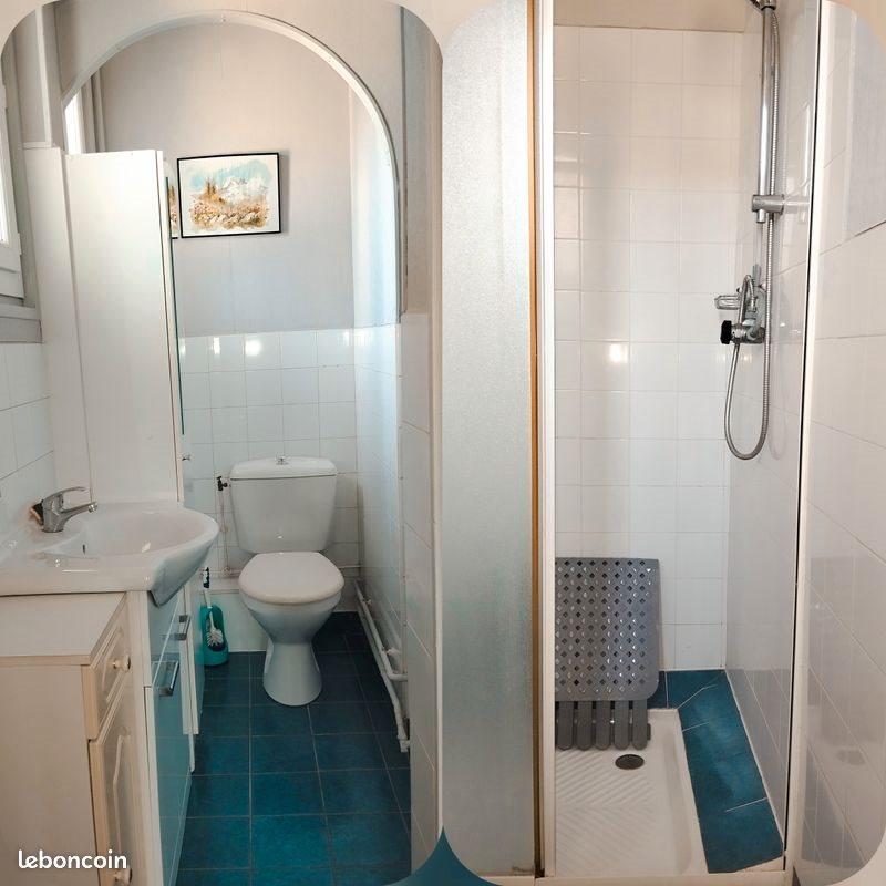 Appartement à louer, 29m², Vizille