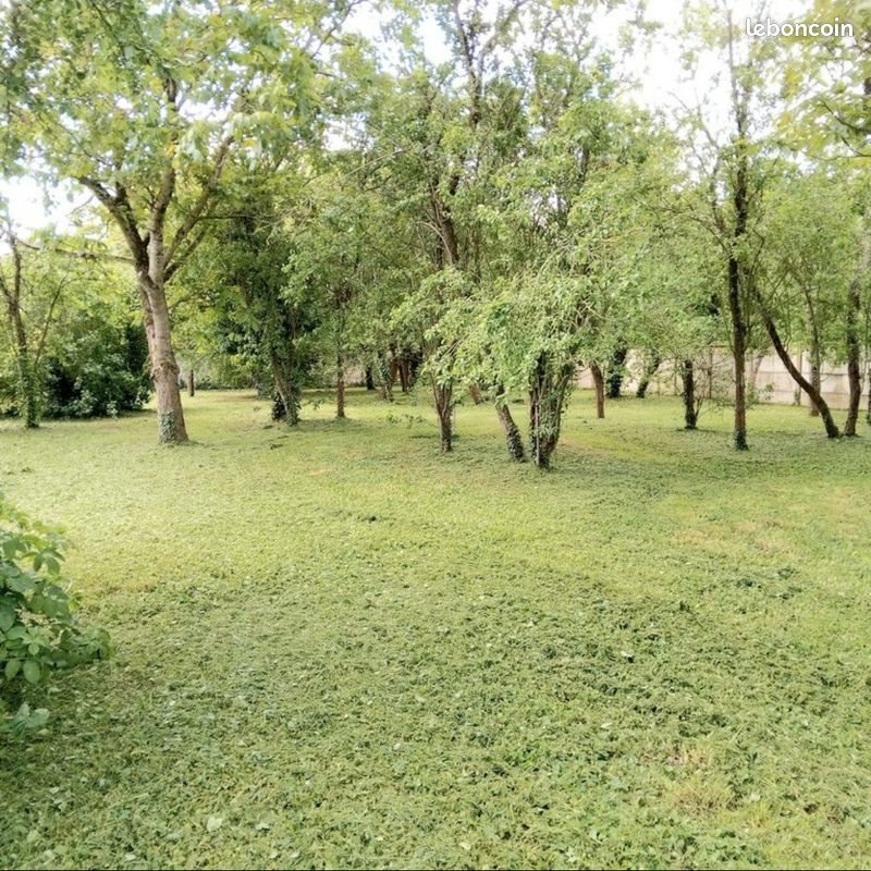 Appartement à louer, 72m², Terminiers