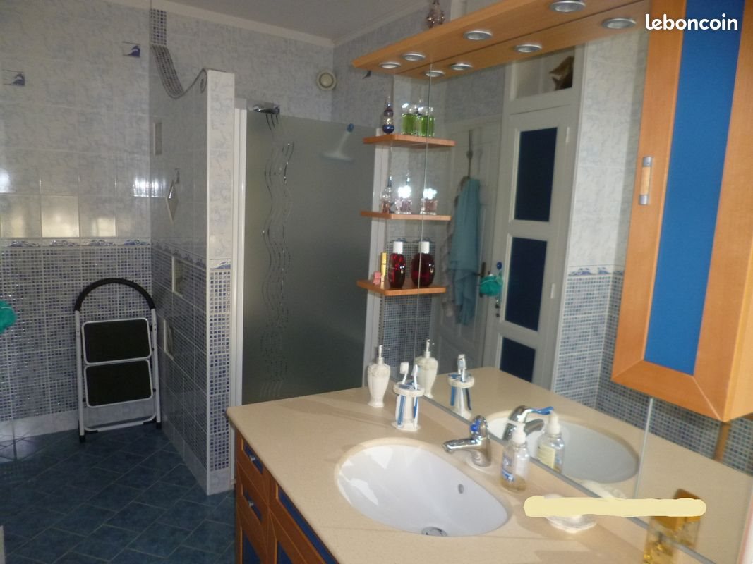 Maison à vendre, 165m², Châteauroux