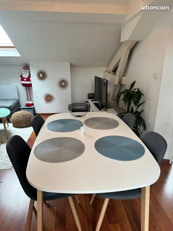 Appartement à louer, 24m², Nancy
