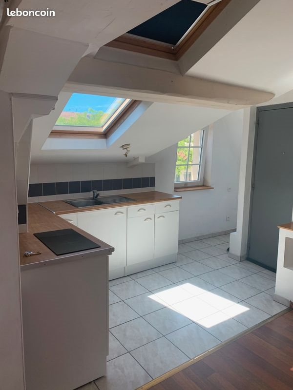 Appartement à louer, 24m², Nancy