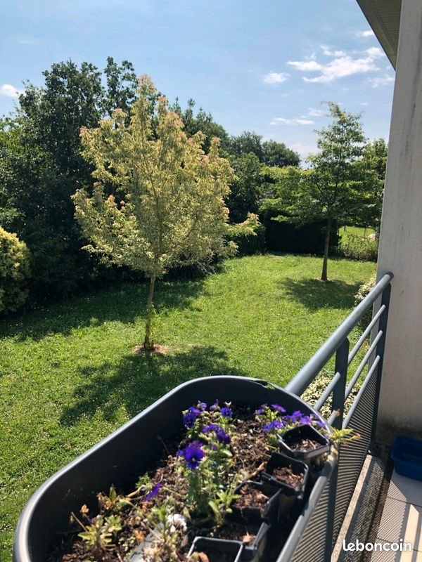 Appartement à vendre, 26m², Aucamville