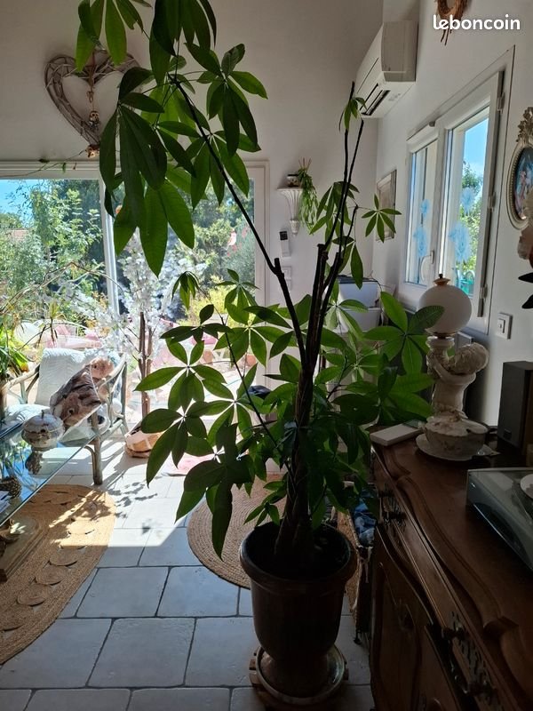 Maison à vendre, 175m², Clarensac