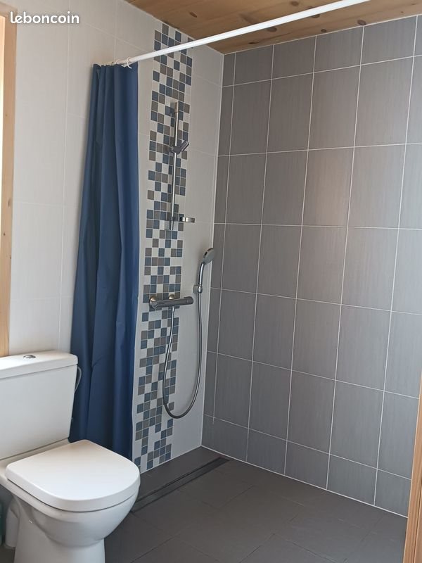 Appartement à louer, 32m², Taninges (Praz de Lys - Sommand)