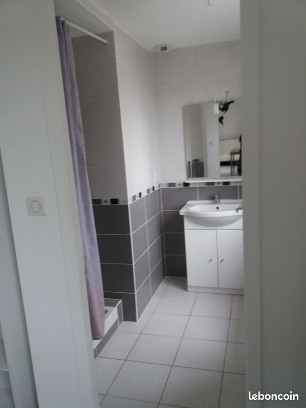 Appartement à louer, 35m², Angers