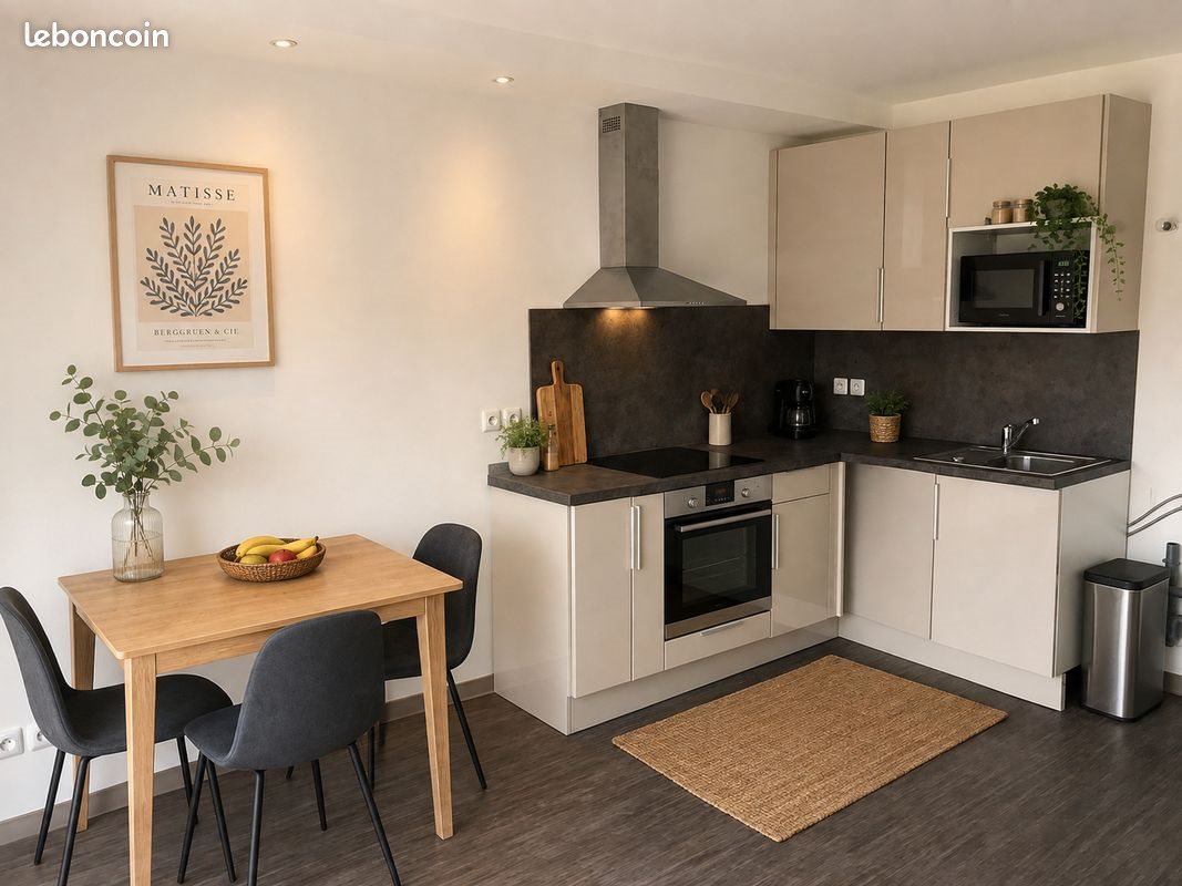 Appartement à louer, 40m², Villeneuve-Loubet