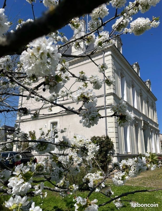 Maison à vendre, 300m², Châtellerault