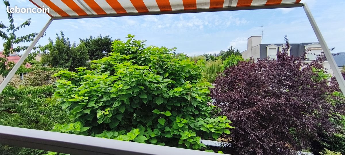 Appartement à vendre, 28m², Le Perreux-sur-Marne
