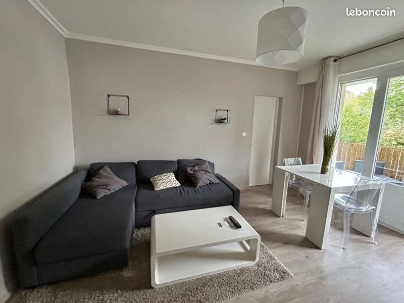 Appartement à louer, 45m², Angers