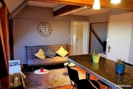 Appartement à louer, 44m², Colmar
