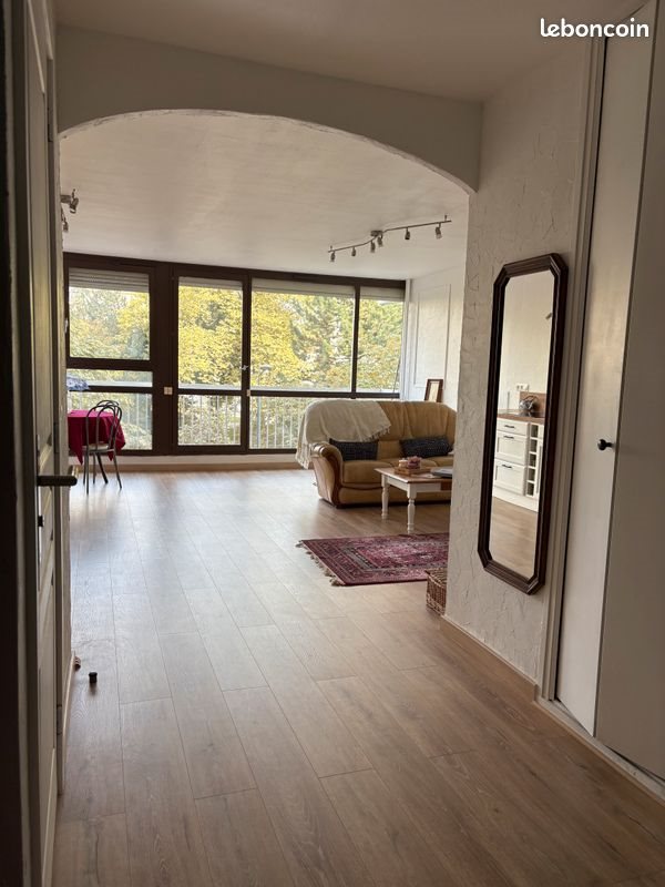 Appartement à louer, 54m², Saint-Etienne