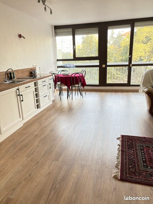 Appartement à louer, 54m², Saint-Etienne
