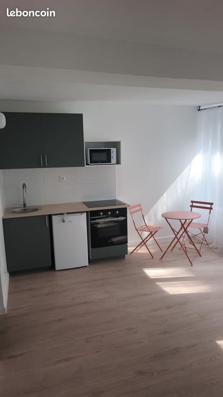 Appartement à louer, 20m², Tourcoing