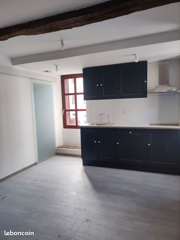 Appartement à louer, 21m², Saint-Pons-de-Thomières