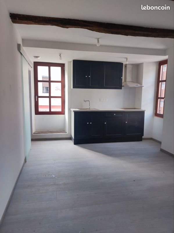 Appartement à louer, 21m², Saint-Pons-de-Thomières