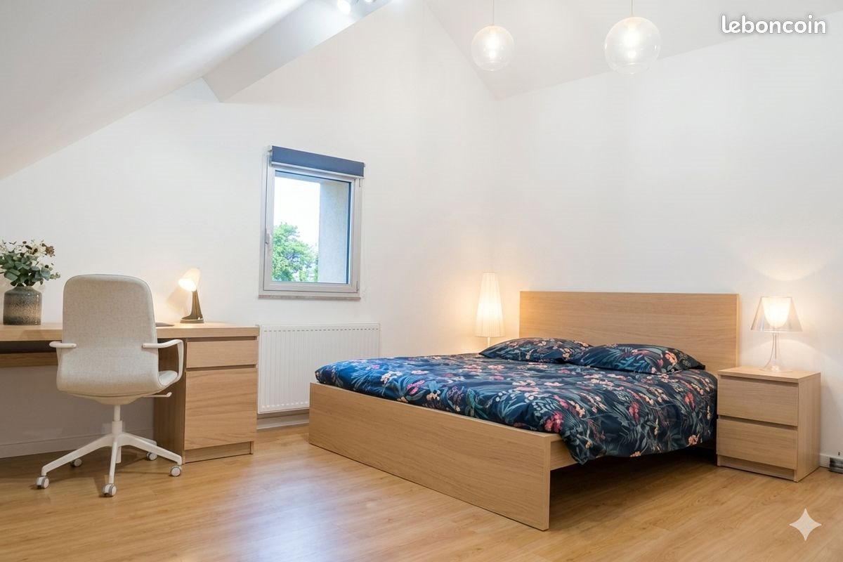 Appartement à louer, 27m², Angers