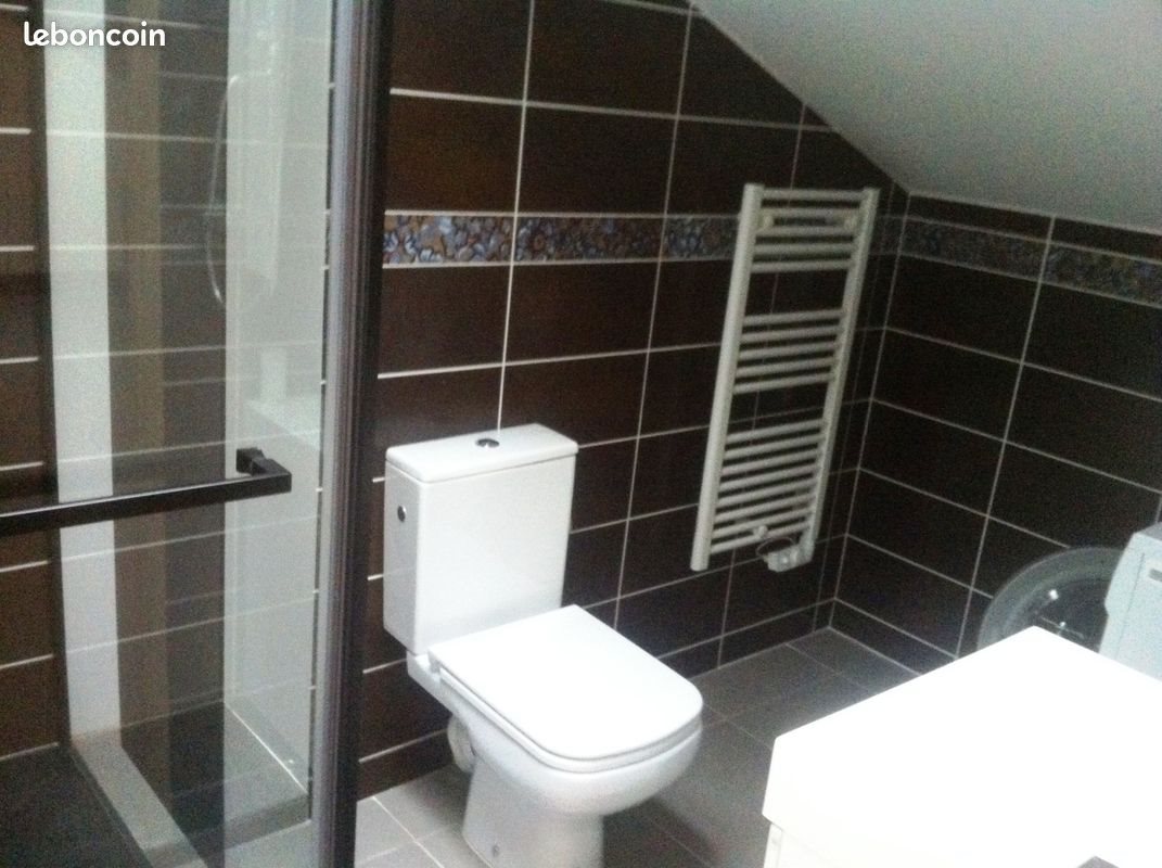 Appartement à louer, 38m², Saint-Etienne