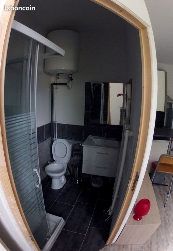 Appartement à louer, 18m², Roanne