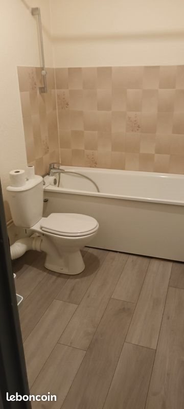 Appartement à louer, 53m², Gray