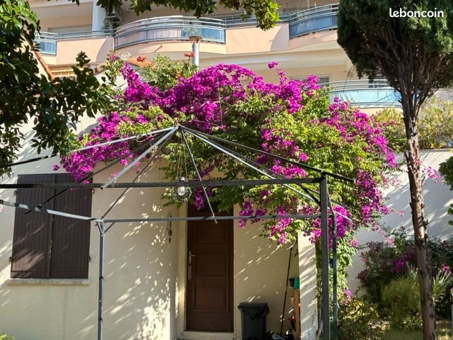 Maison à louer, 22m², Fréjus