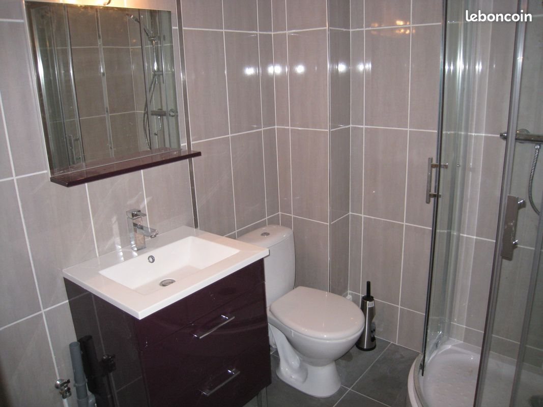 Appartement à louer, 30m², Nancy