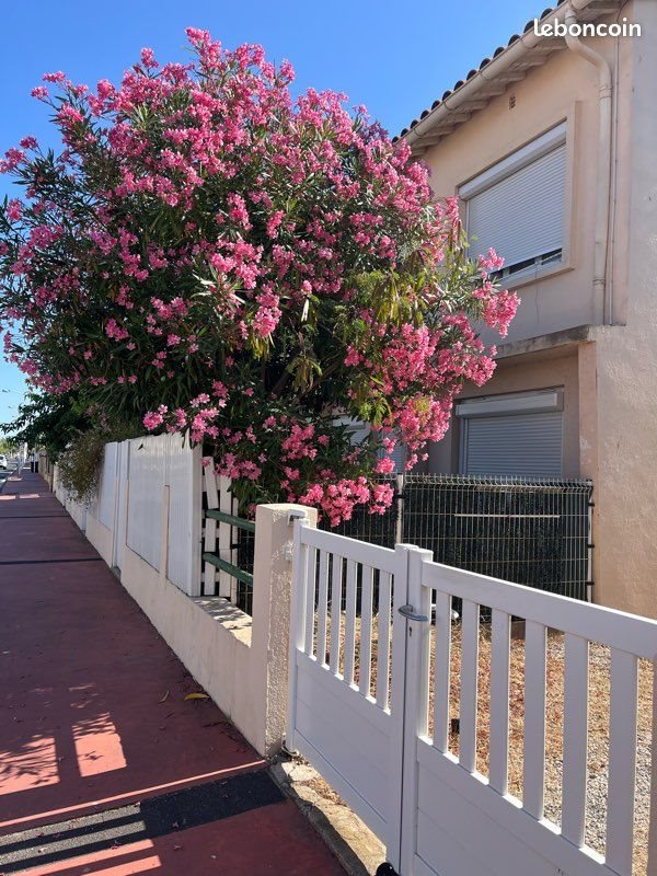 Appartement à louer, 44m², Canet-en-Roussillon