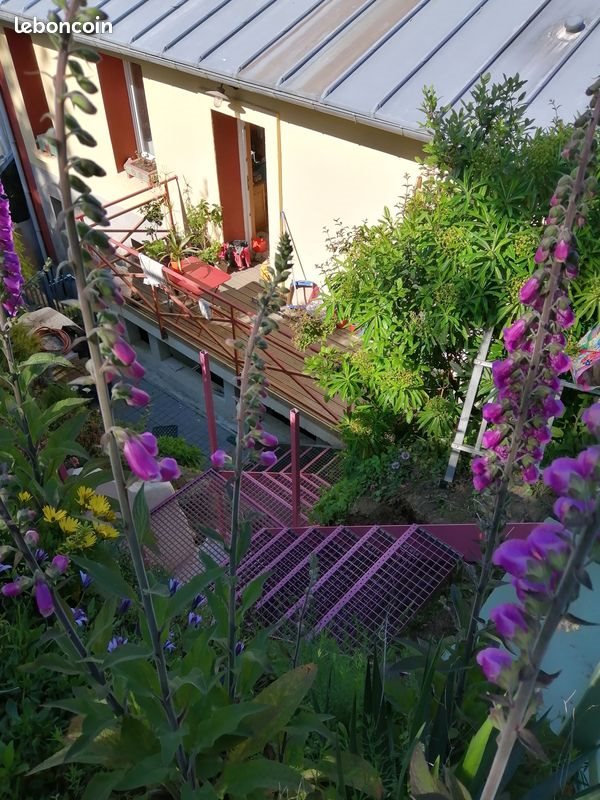 Appartement à louer, 55m², Guilers