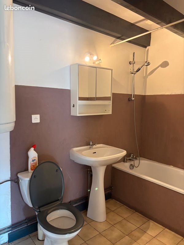 Appartement à louer, 30m², Artemare