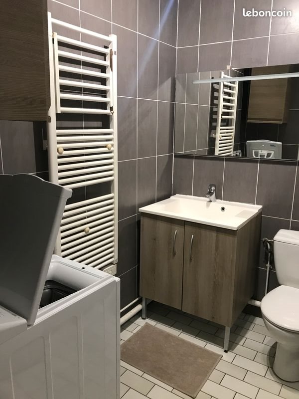 Appartement à louer, 41m², Lille