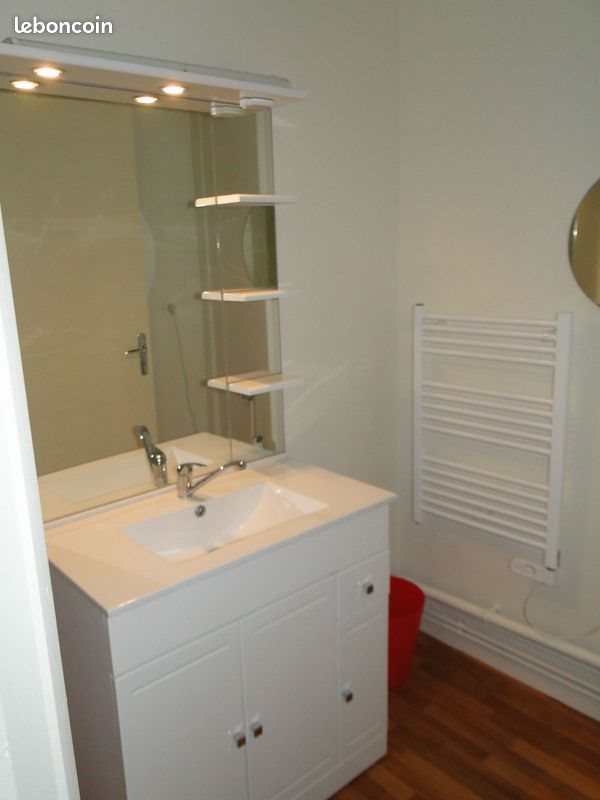 Appartement à louer, 30m², Angers