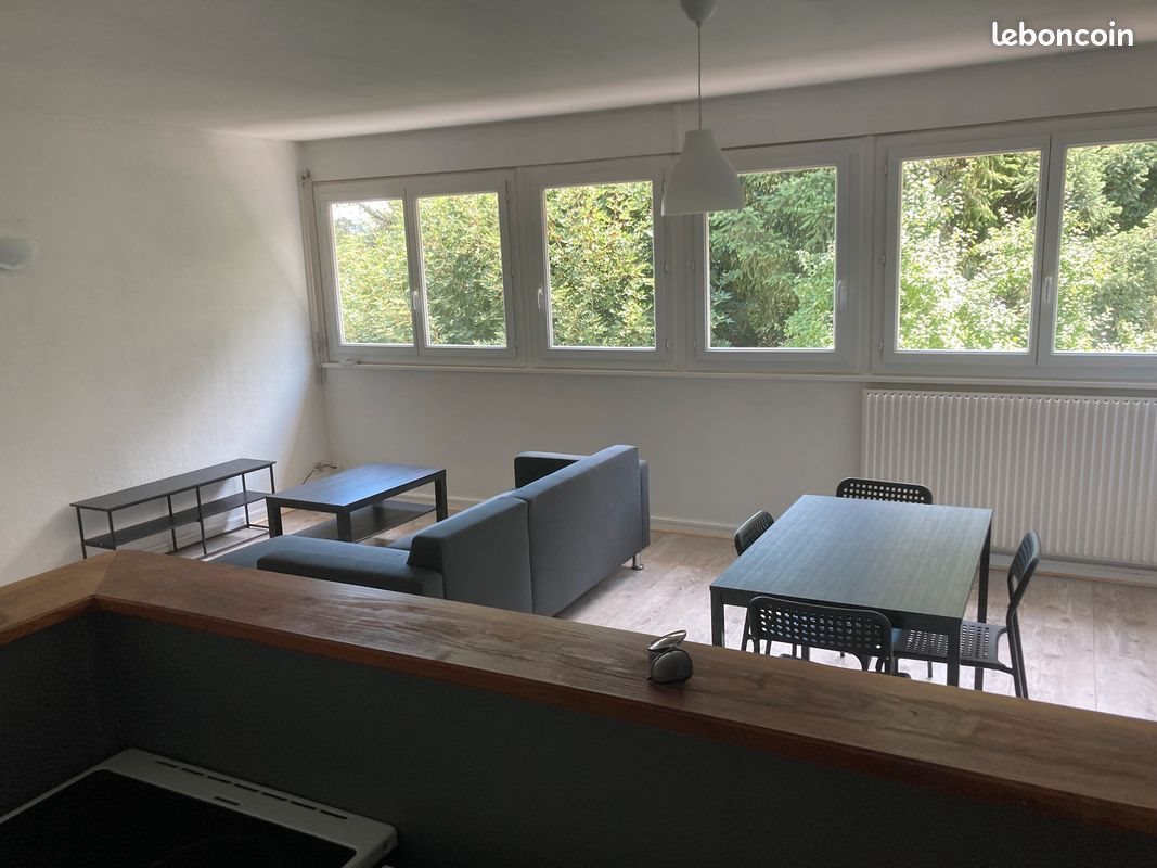 Appartement à louer, 48m², Saint-Etienne