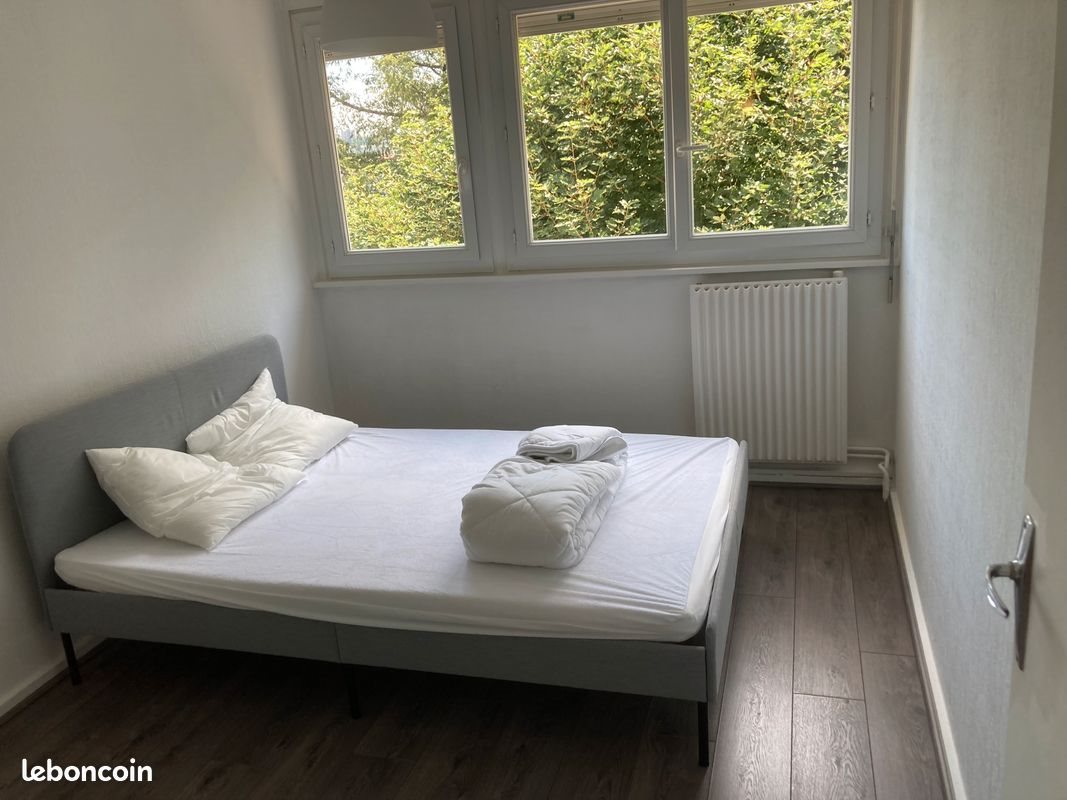 Appartement à louer, 48m², Saint-Etienne