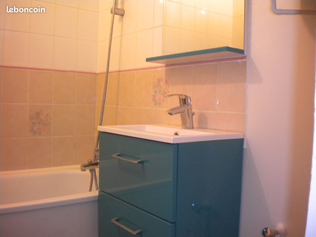 Appartement à louer, 42m², Nancy